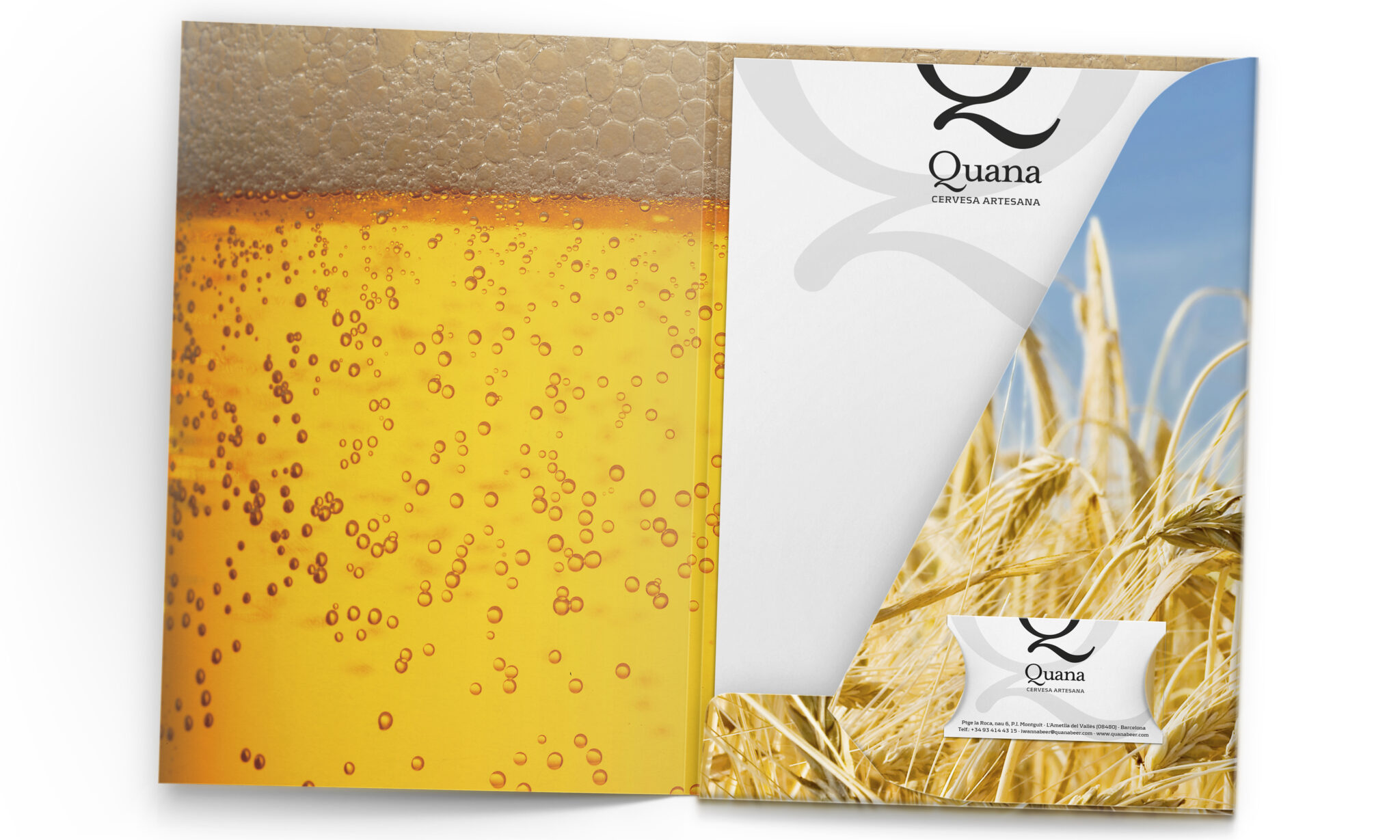 QUANA BEER_12
